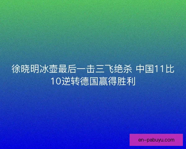 徐晓明冰壶最后一击三飞绝杀 中国11比10逆转德国赢得胜利